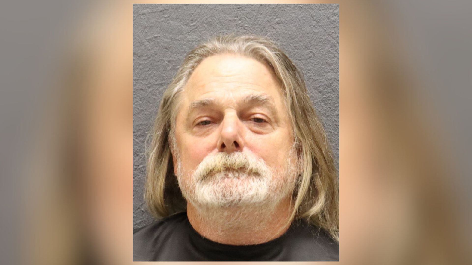 Upstate man accused of pointing firearm at elderly couple, firing at dog
