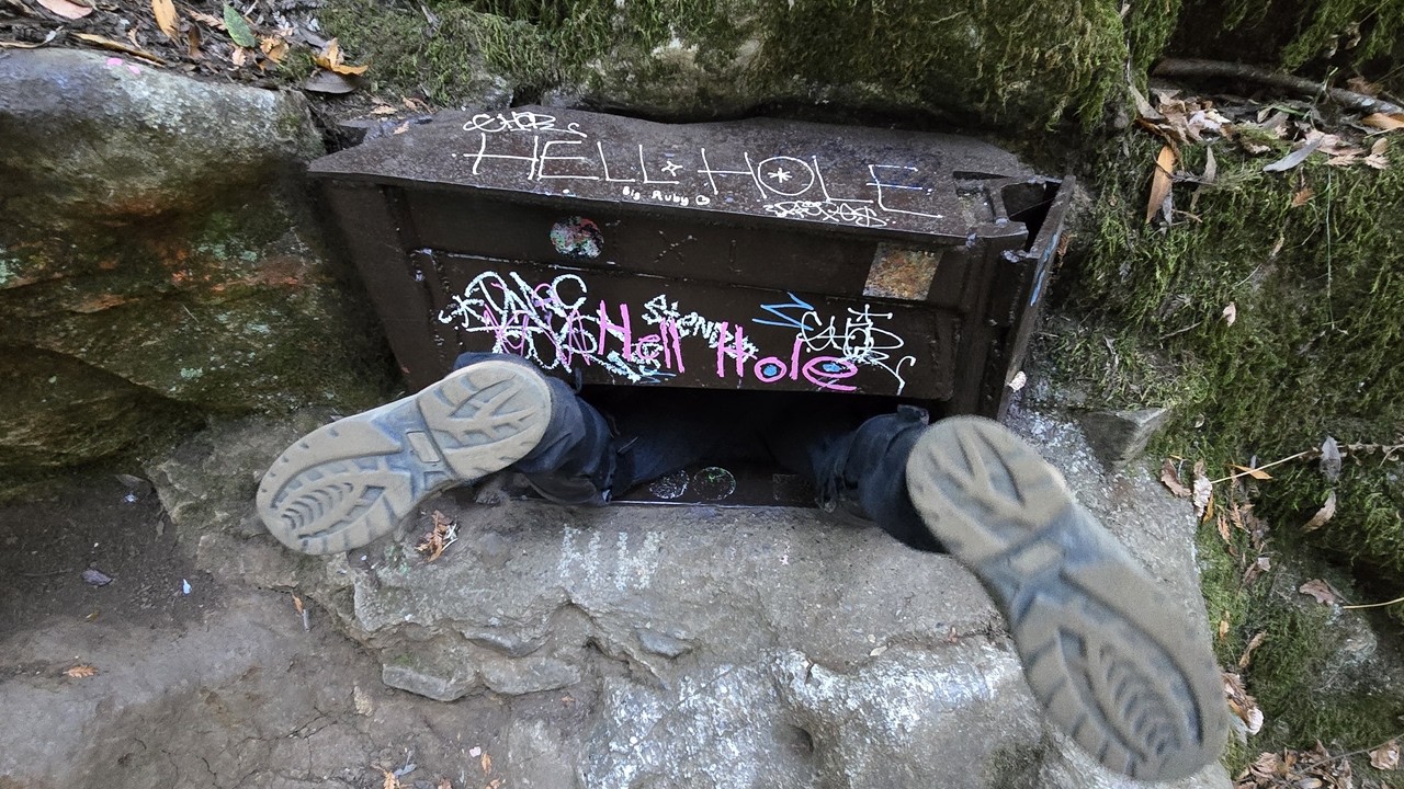 Watch them enter the mailbox-sized hole to hell