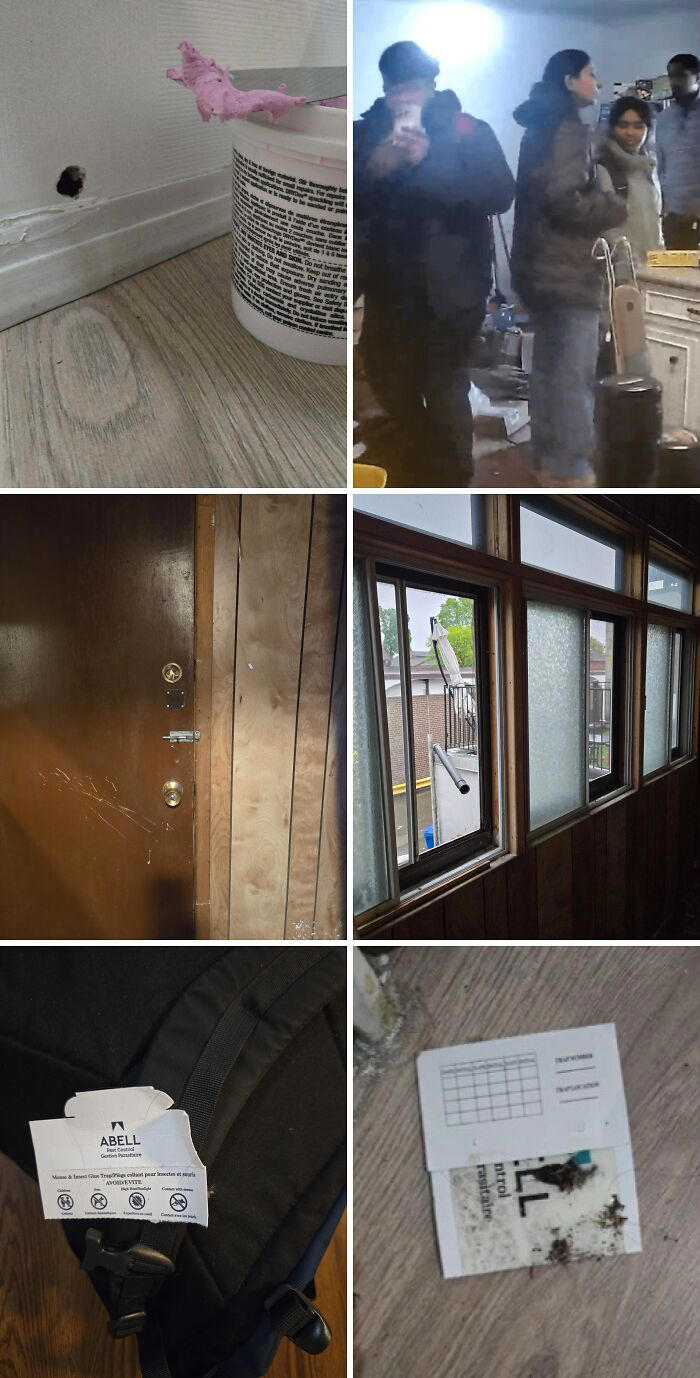 57 rental nightmares where landlords tried to cut corners and got exposed