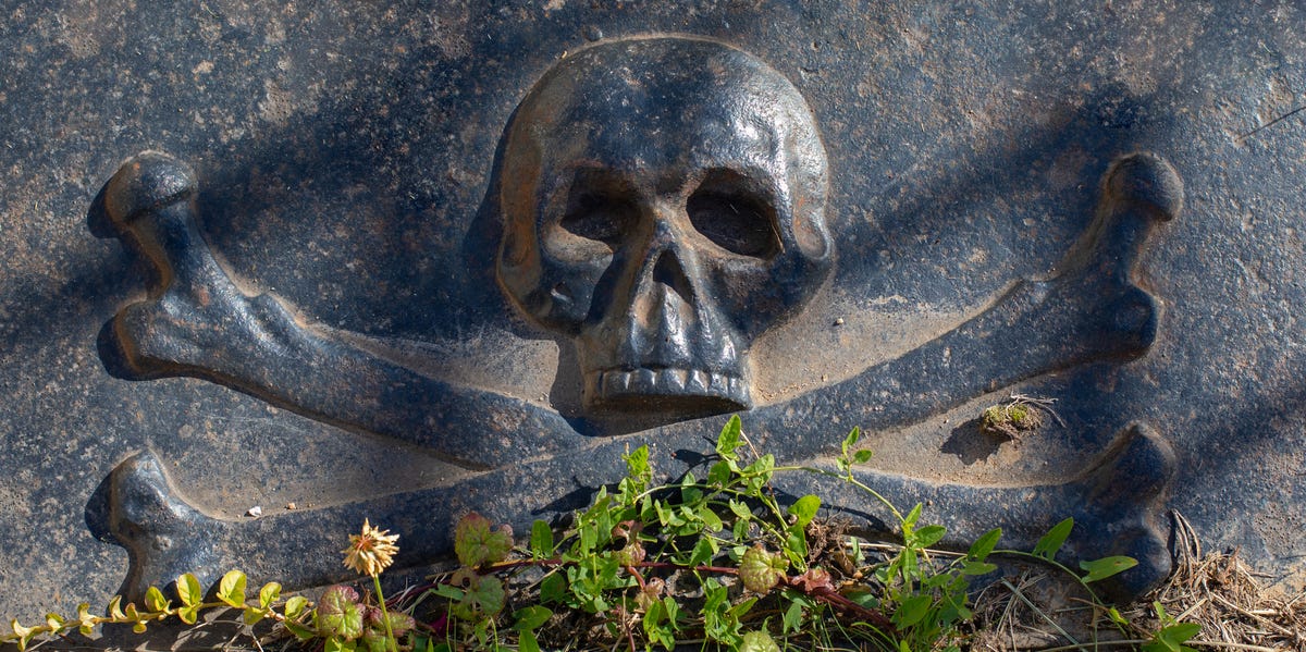 ‘Zombie’ Grave Discovered