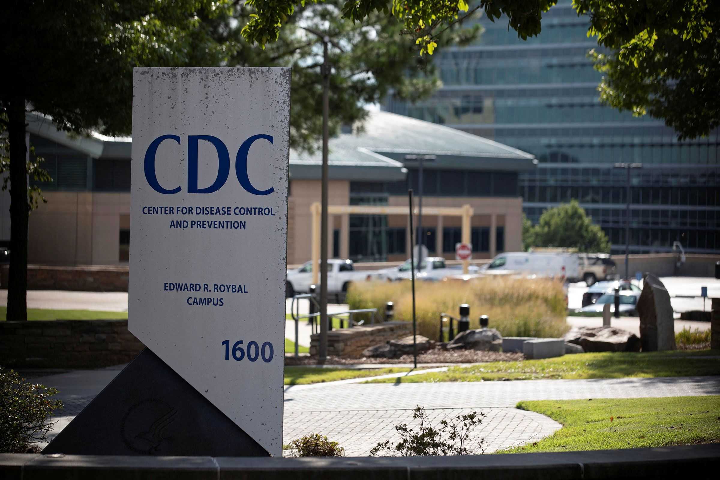 CDC adopts advisers' recommendation against universal hepatitis B ...