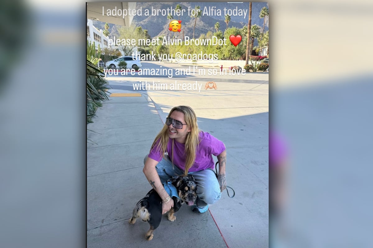 Der Vierbeiner stammt von einer Hundevermittlung.