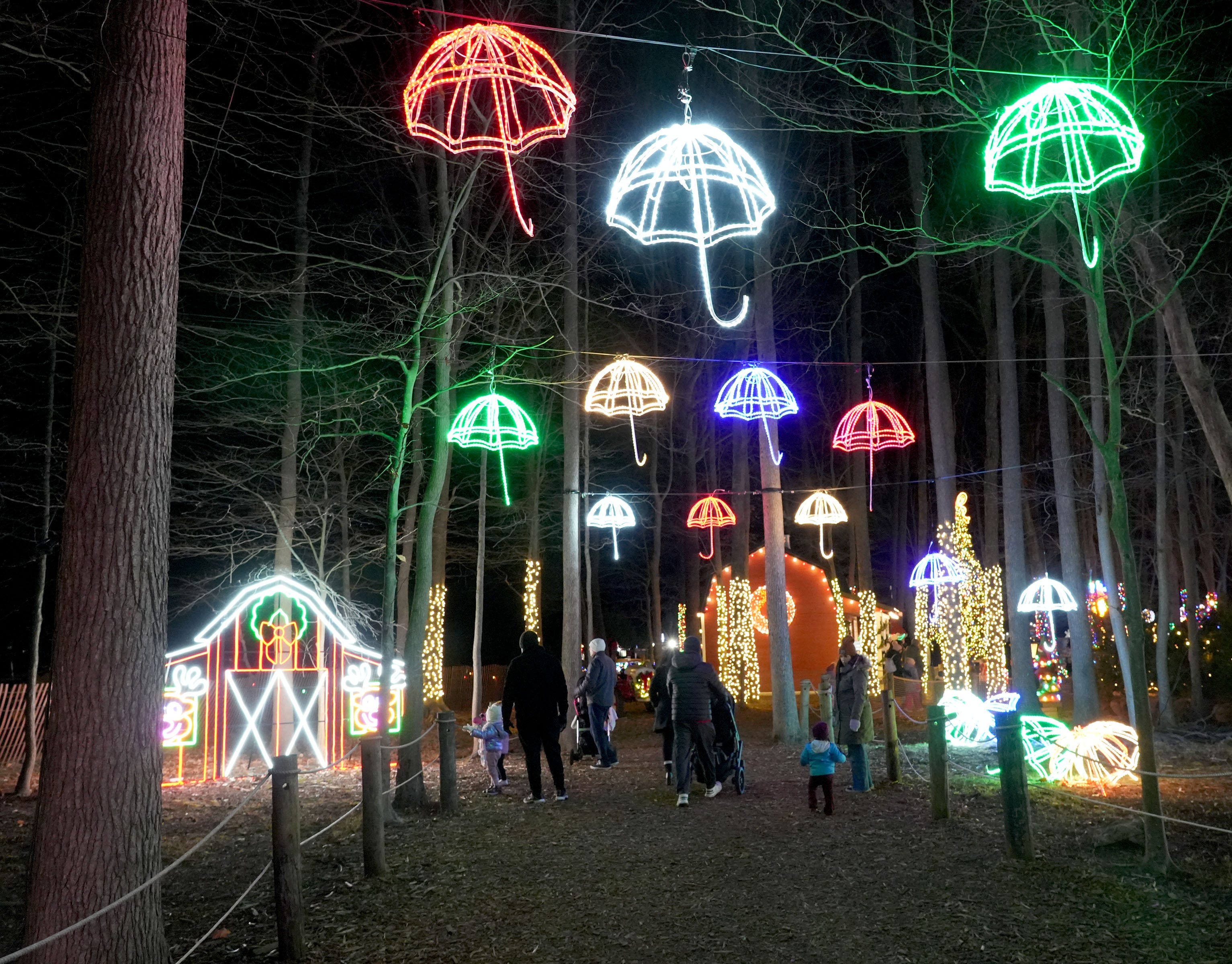Experience a winter wonderland at Anne Ellen Christmas Tree Farm