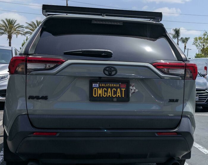 42 License Plates So Clever People Had To Take Photos