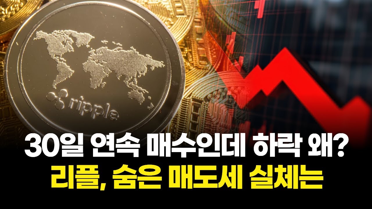 30일 연속 매수인데 하락 왜?…리플, 숨은 매도세 실체는 | Watch