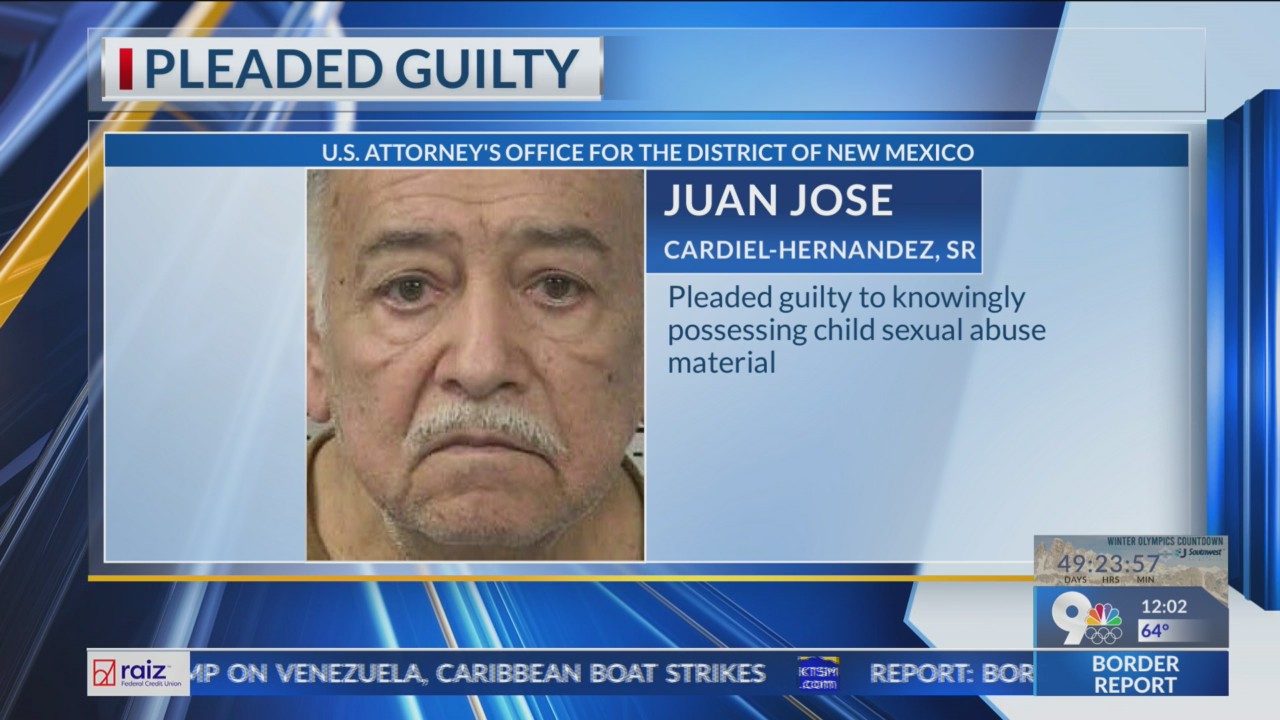 Las Cruces daycare provider pleads guilty to possessing child sexual ...