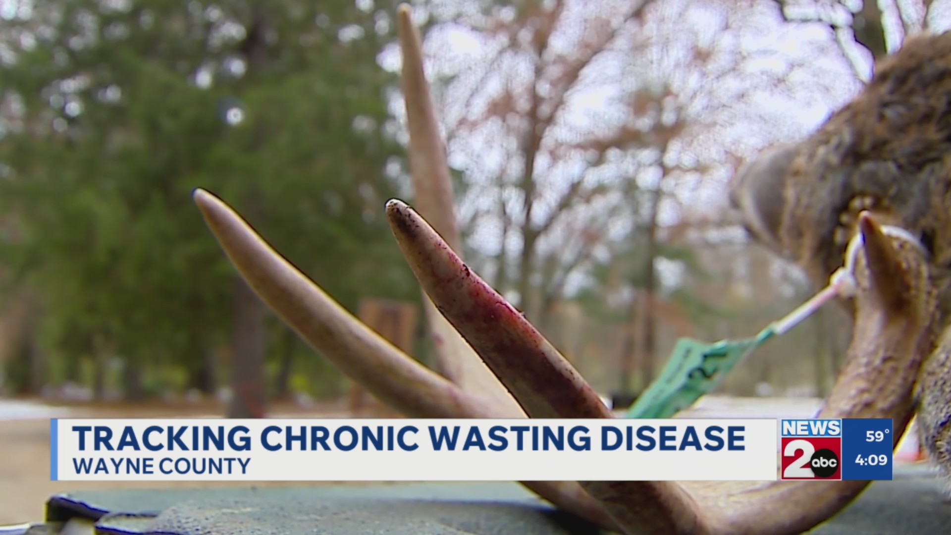 Tracking chronic wasting disease in Tennessee