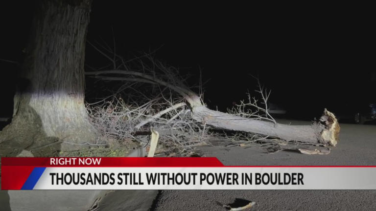Photos: Fires, blown over trees, downed power poles after high winds in ...
