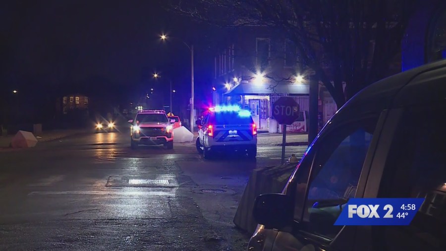 Police ID 14-year-old killed in south St. Louis shooting