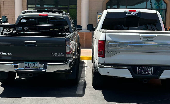 42 License Plates So Clever People Had To Take Photos