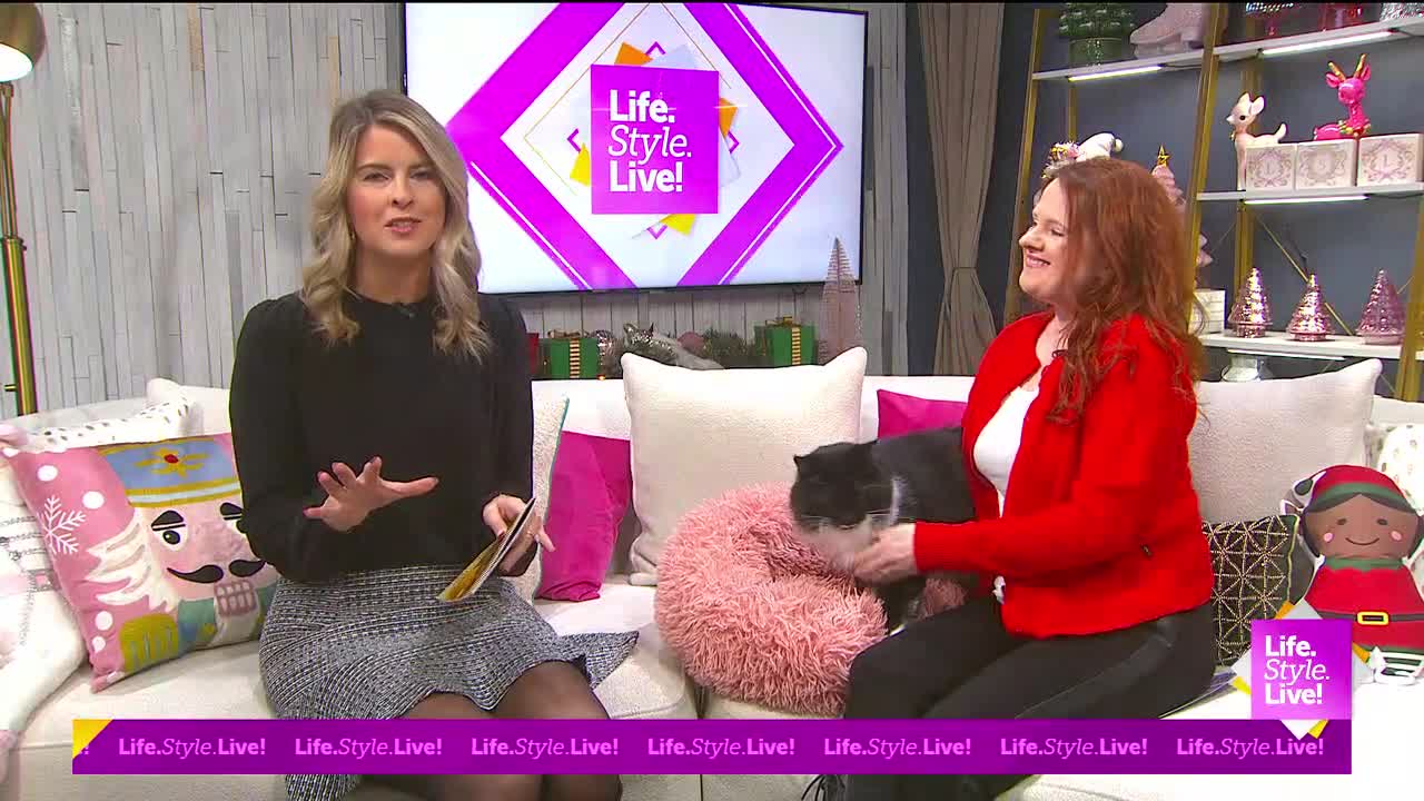 12-18-25-tips to keep cats calm
