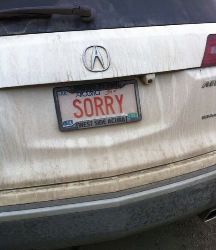 42 License Plates So Clever People Had To Take Photos