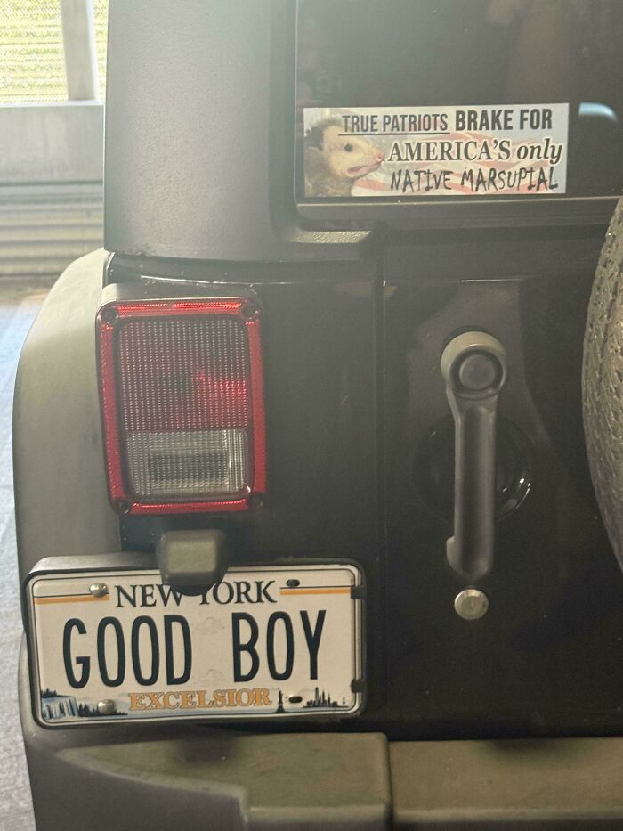42 License Plates So Clever People Had To Take Photos