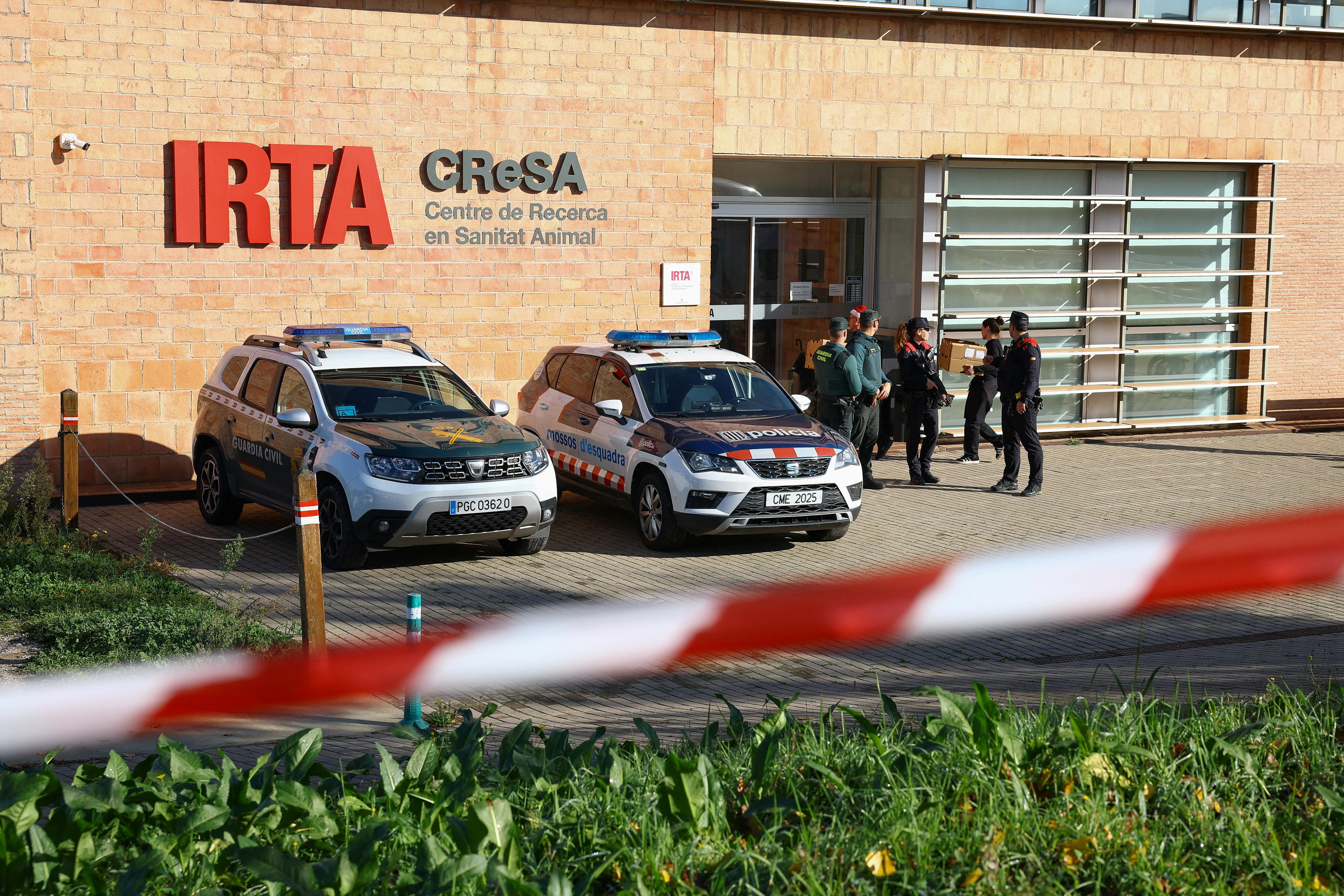 Spain investigates possible lab leak behind African swine fever outbreak<br><br>