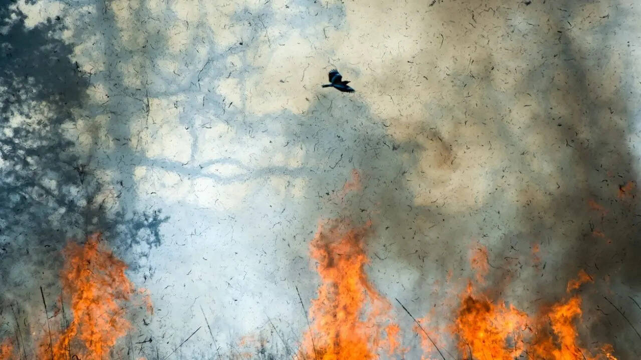 Hutchinson fire: Reno County fire north of Hutchinson prompts ...