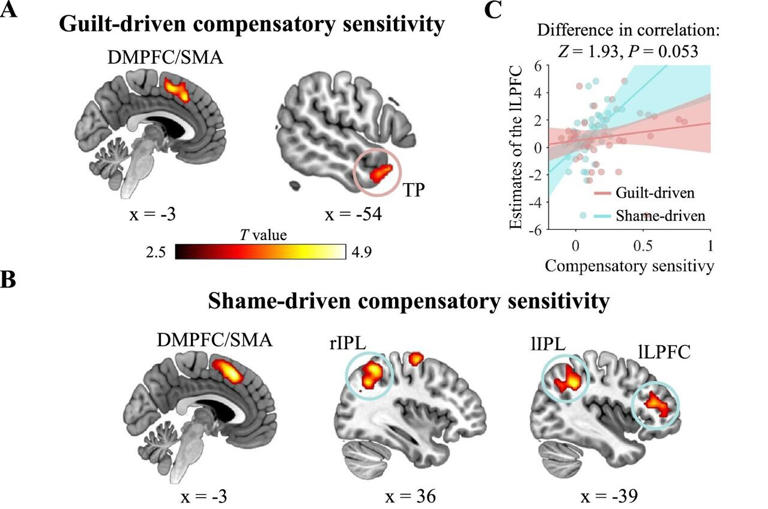 Scientists unravel neural networks that guide guilt and shame-driven ...