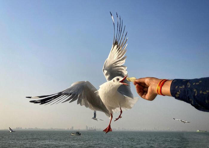 A glimpse of Mumbai: 27 powerful street photographs by Shanth Kumar