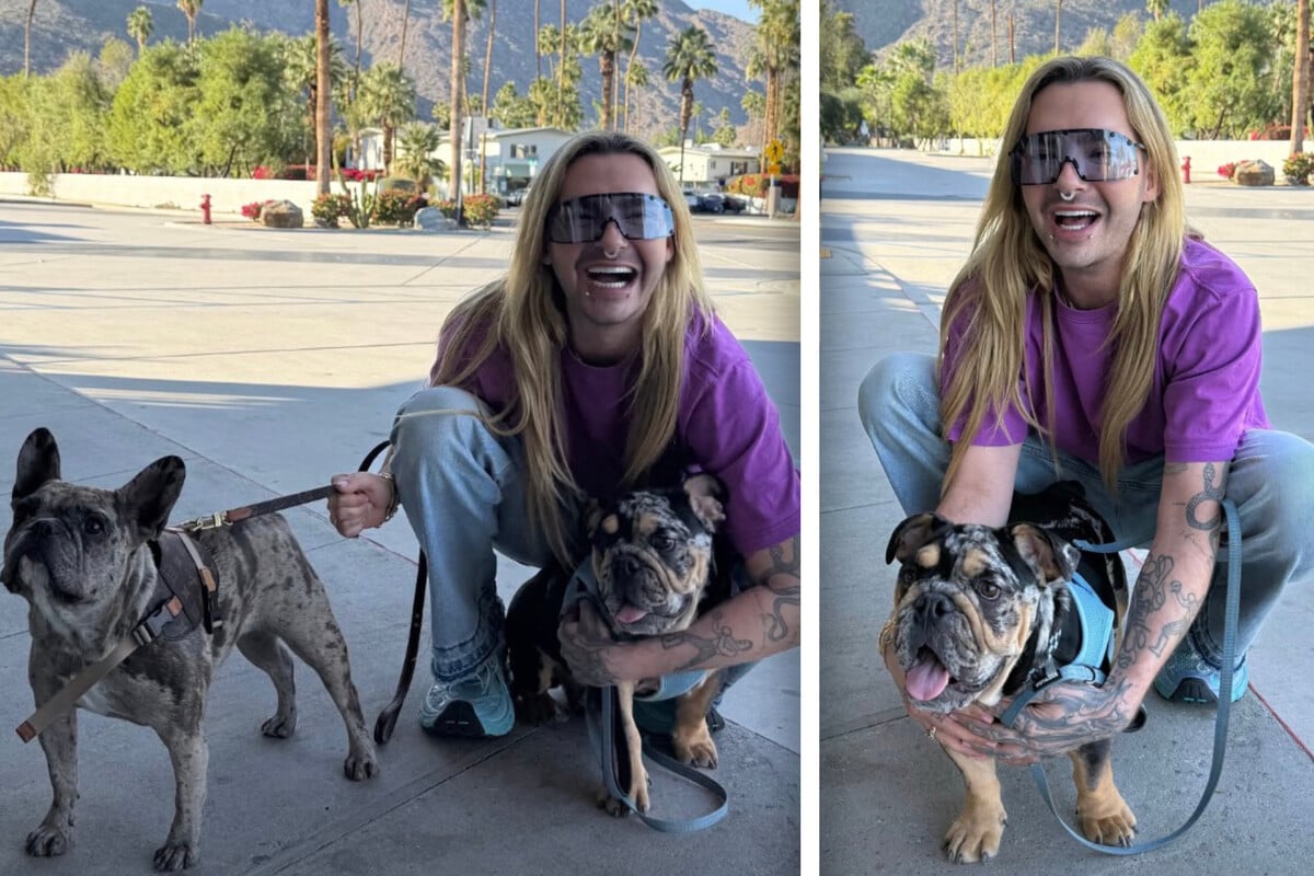 Bill Kaulitz (36) hat Mischling Alvin adoptiert.