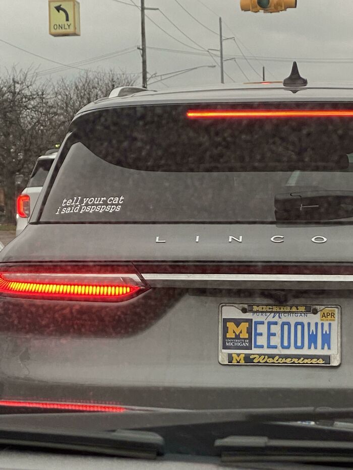 42 License Plates So Clever People Had To Take Photos
