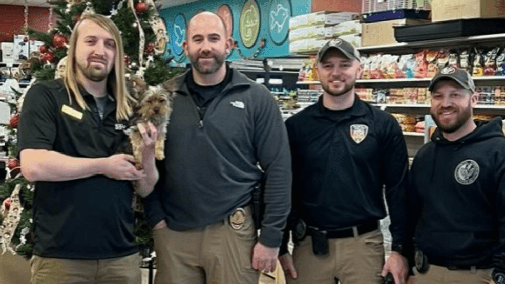 Puppy stolen from local pet store found safe after missing for weeks
