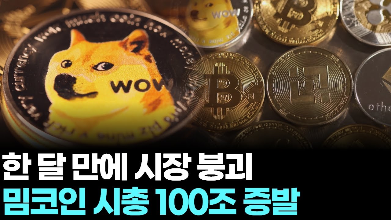 한 달 만에 시장 붕괴, 밈코인 시총 100조 증발 | Watch
