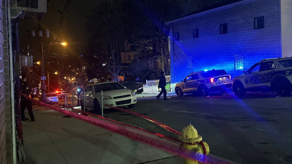 2 killed in Carrick shooting on Linnview Avenue, Pittsburgh authorities say