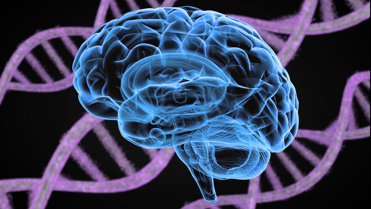 14 psychiatric disorders share 5 genetic roots, major study reveals