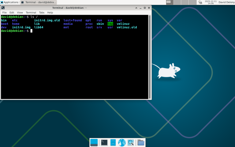 I ran the one command in Linux you should never run. Here's what happened