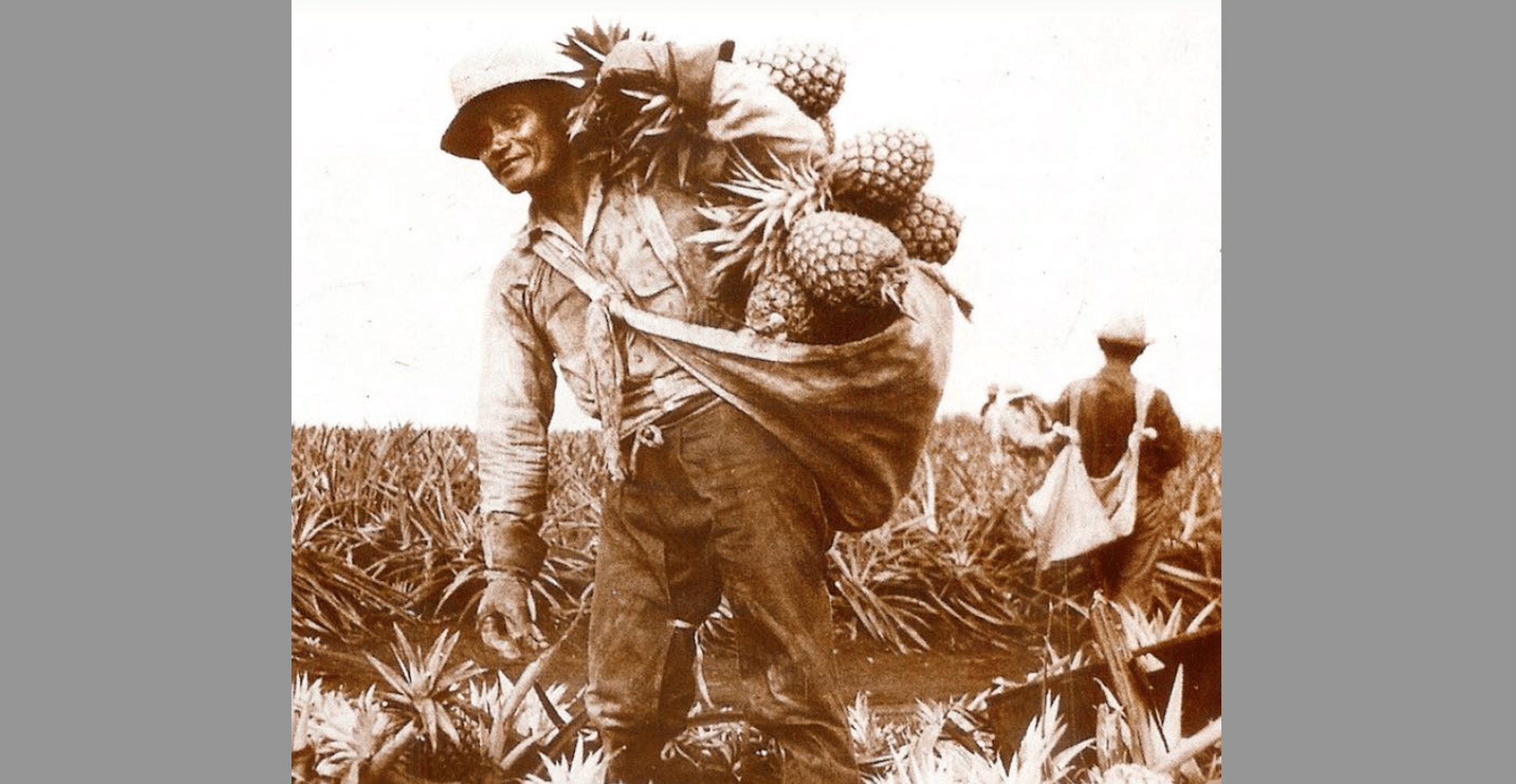 Sakada Day Celebrations In Hawaii Honor Filipino Migrants