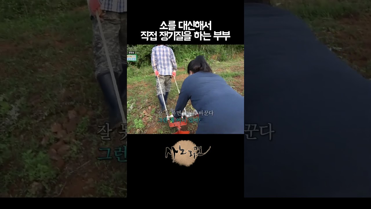 가위바위보해서 진 사람이 소 역할 하기! | Watch