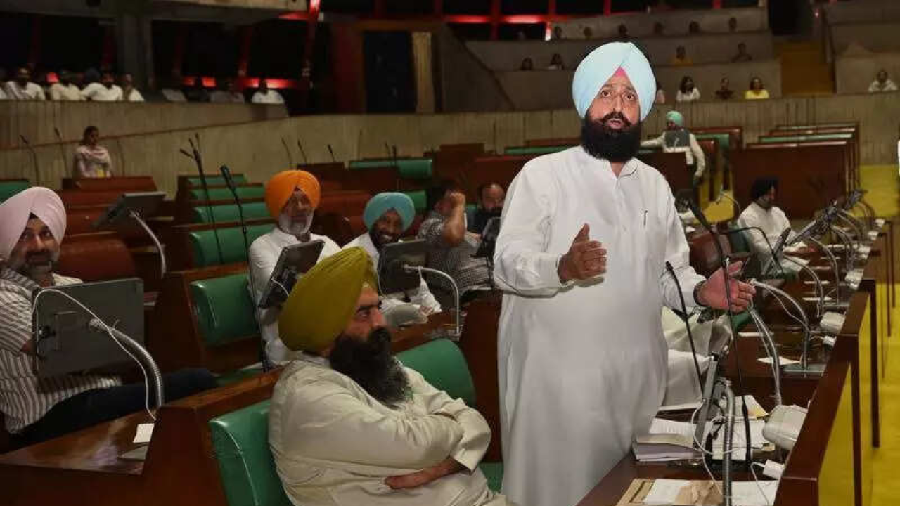 Punjab rural polls: Congress triumphs despite AAP’s pressure politics ...