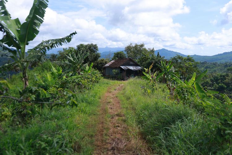 Kasus warga miskin ekstrem Jember jadi peringatan reformasi data sosial