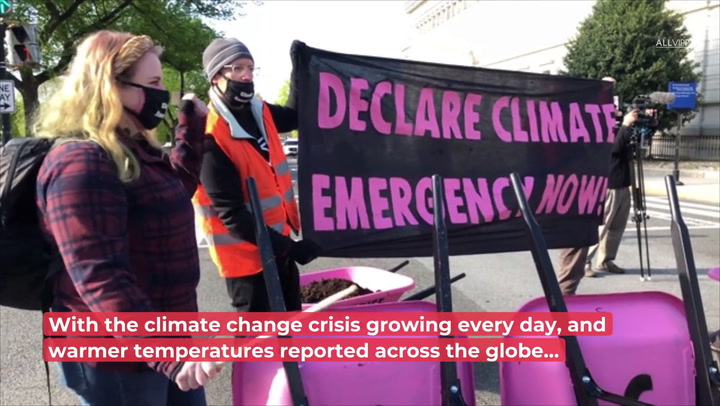 Celebrities leading the fight against climate change