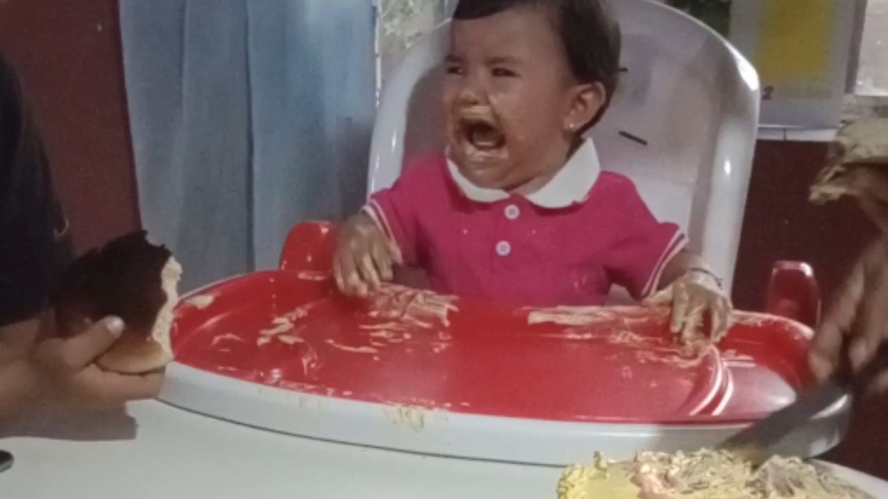 Toddler becomes overprotective of cake during her first birthday ...