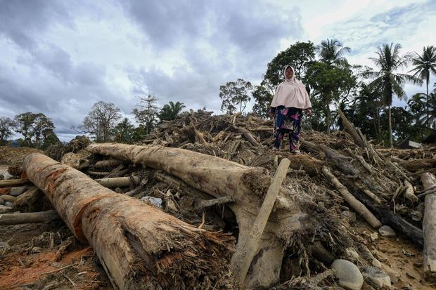 Pemerintah Izinkan Penggunaan Kayu Gelondongan untuk Pemulihan Bencana Sumatra
