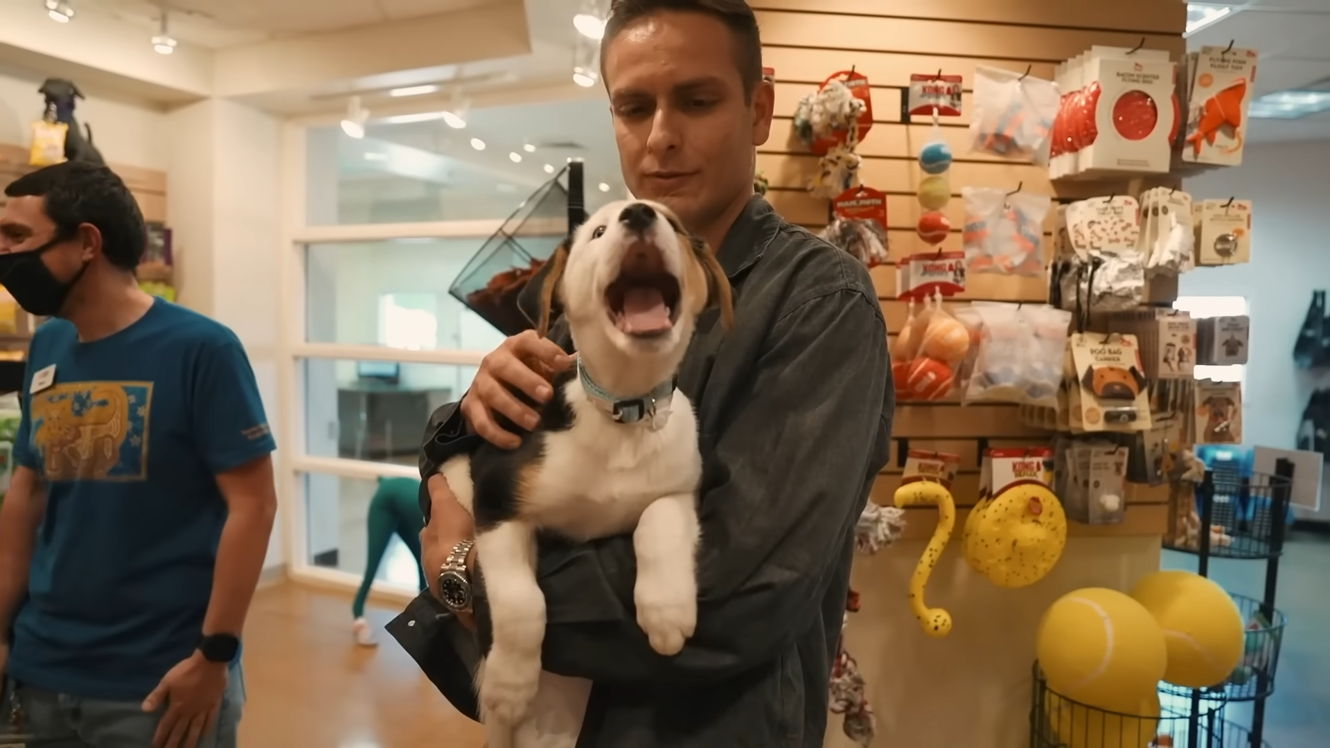 I adopted every dog in a dog shelter