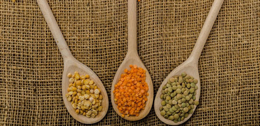 العدس بألوانه الرائعة