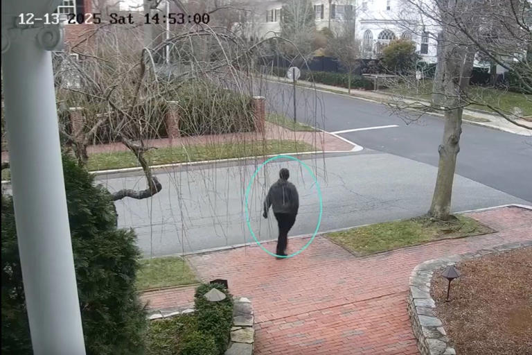 Trump suspends green card program allowing shooting suspect in US