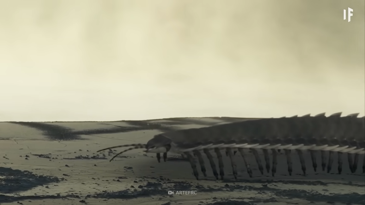 ¿Cómo influyó el clima en la era de los insectos gigantes?