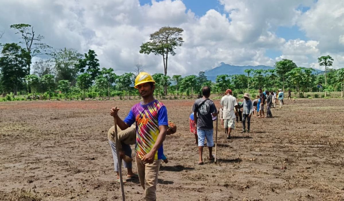 Kompak Terapkan Jajar Legowo, Poktan Lintas Kowo Ubah Kebun Padi Pululera Jadi Penopang Ekonomi Kelu