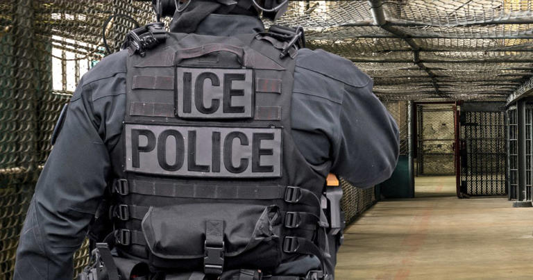 Virginia court ignores ICE detainer, releases illegal alien accused of ...