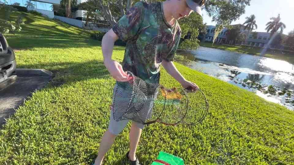 Fish trap catches baby piranhas in Florida and we can't believe it
