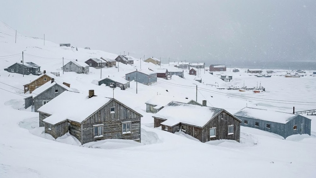 Why small Arctic populations couldn’t recover from one bad winter