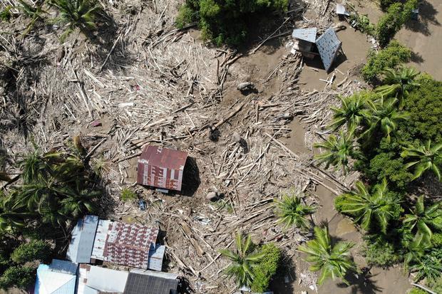 Deforestasi Meningkat Jelang Pilkada, Hutan Jadi Modal Politik Sumatra