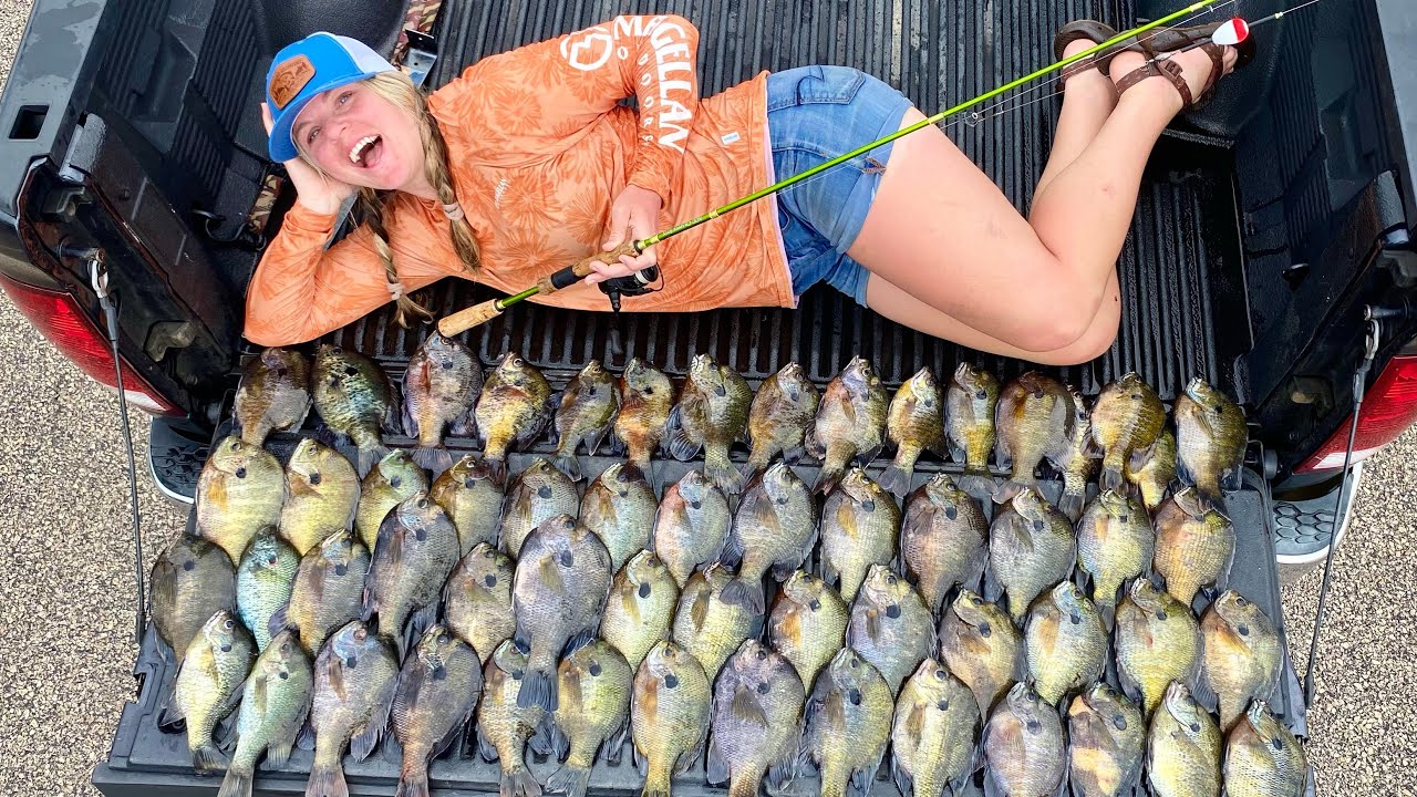 Jumbo bluegill nest found for biggest panfish catch ever