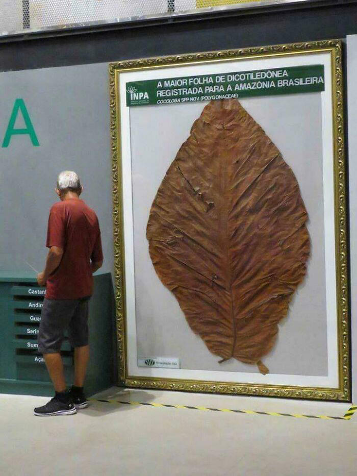 49 pics that show why extremely large things can be so scary