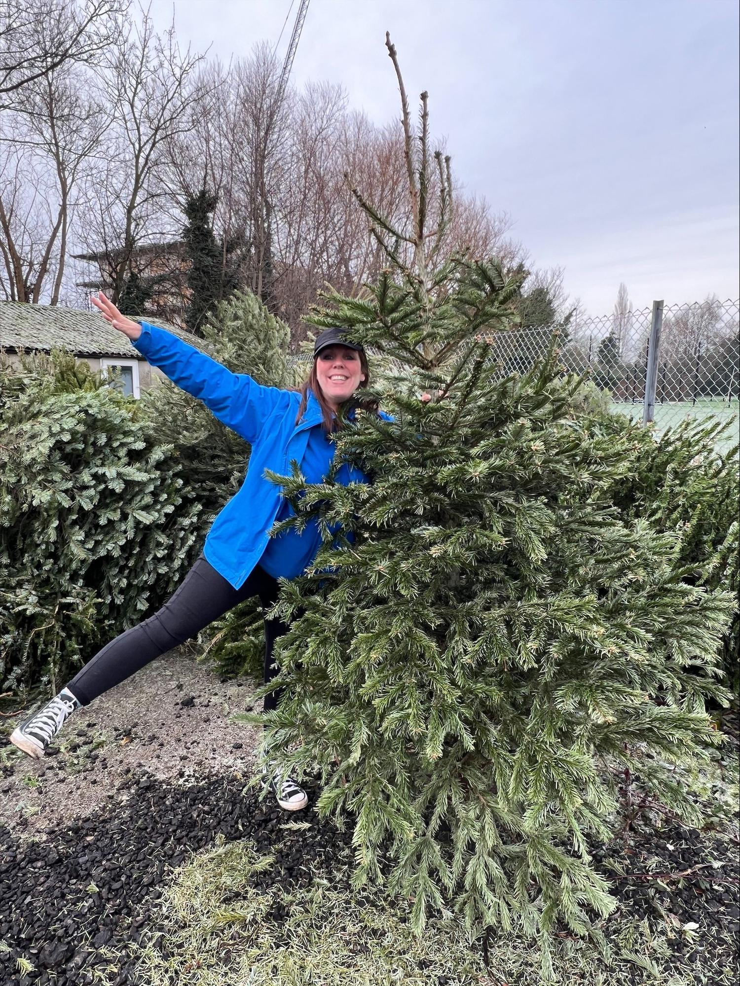 Recycle your Christmas tree with Nottingham Hospitals Charity