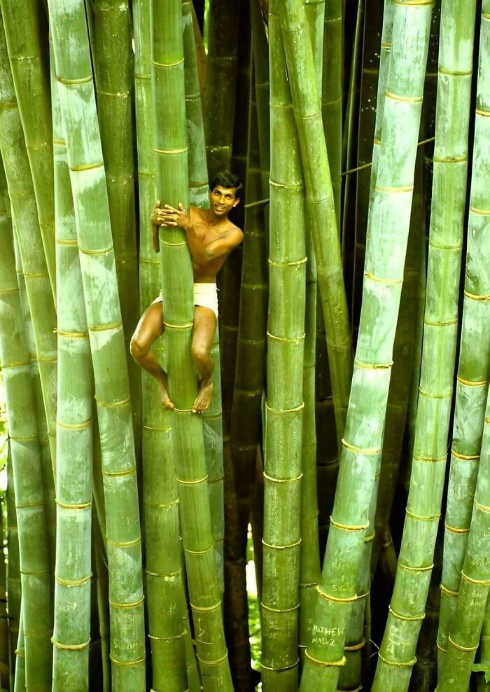 49 pics that show why extremely large things can be so scary