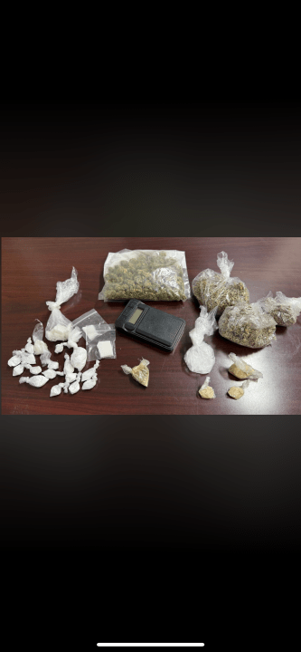 Henry Co. deputies conduct major drug bust of cocaine and meth in ...