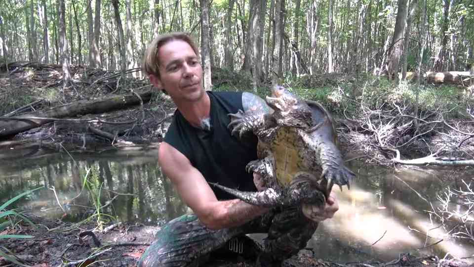 Snapping turtle encounter fail